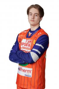 Vesanko Niko (kopio)